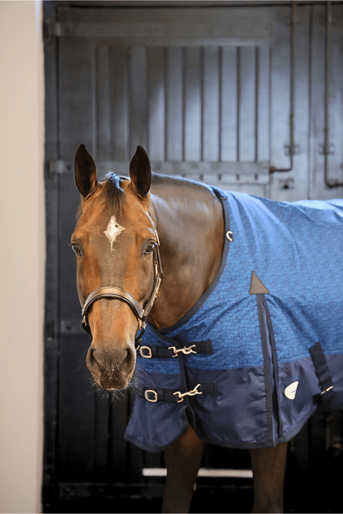 Furisto 200g Standard Neck Turnout Rug