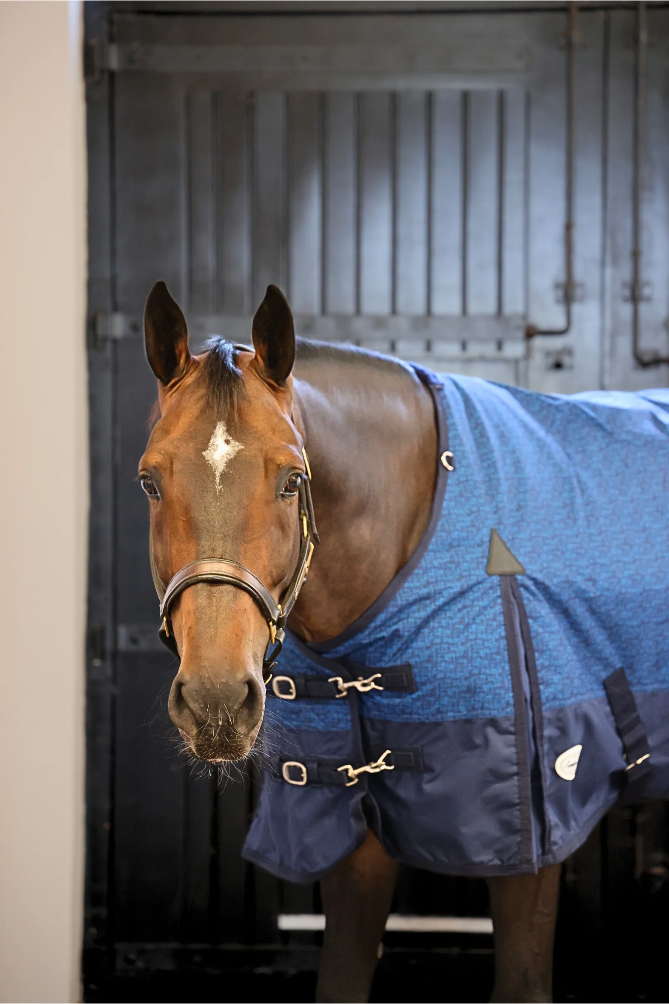 Furisto 200g Standard Neck Turnout Rug