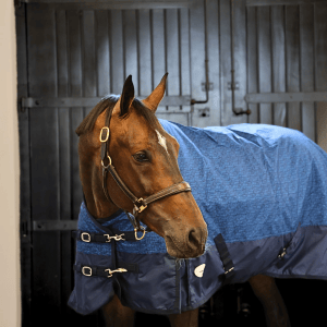 Furisto 200g Standard Neck Turnout Rug