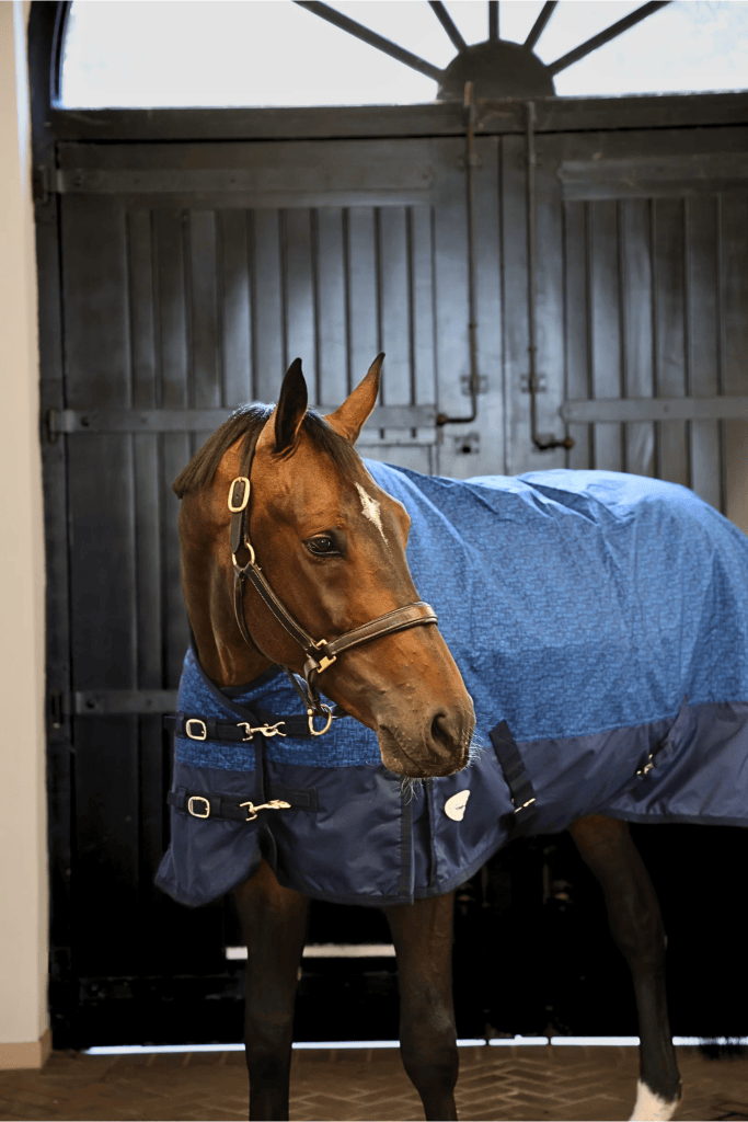 Furisto 200g Standard Neck Turnout Rug