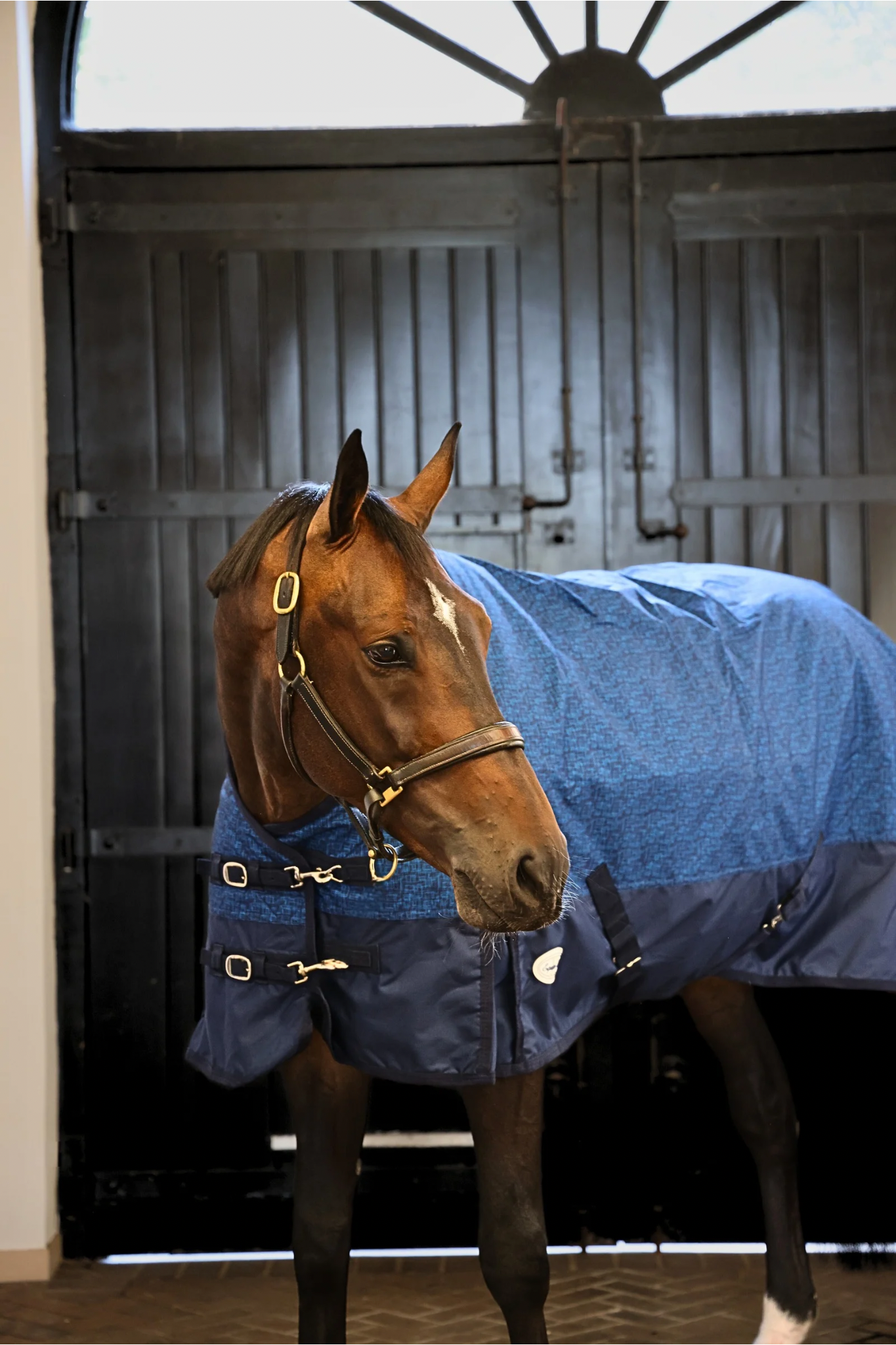 Furisto 200g Standard Neck Turnout Rug