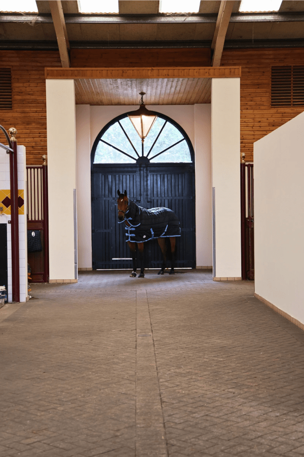 Jazz 350g Fixed Neck Stable rug