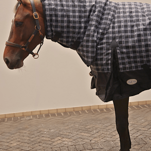 Trewyn 350g Fixed Neck Turnout Rug