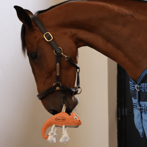 Coco the Chameleon Horse Toy