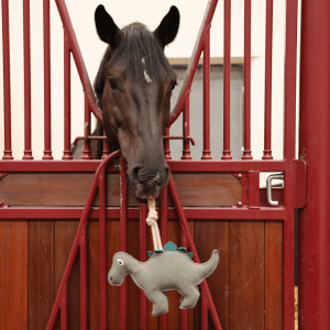 Dilly the Dinosaur Horse Toy