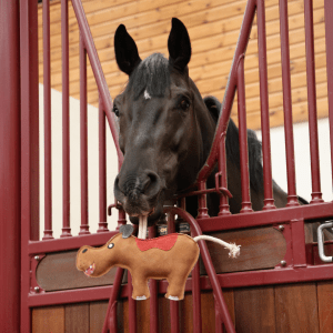 Heidi the Hippo Horse toy