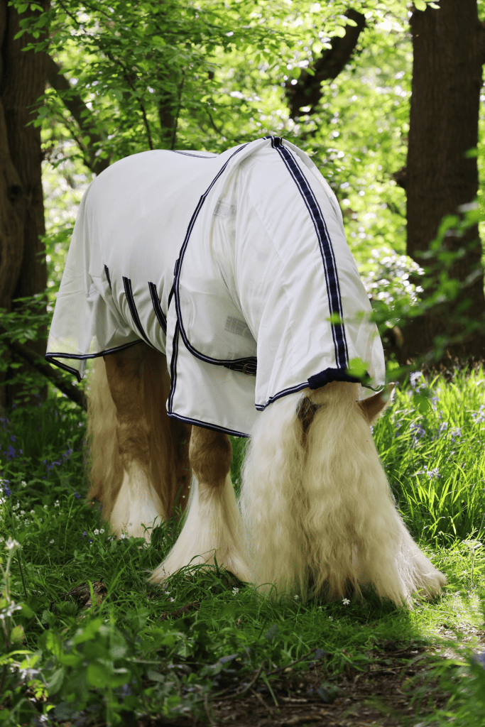 Sahara Detachable Neck Fly Rug 2025