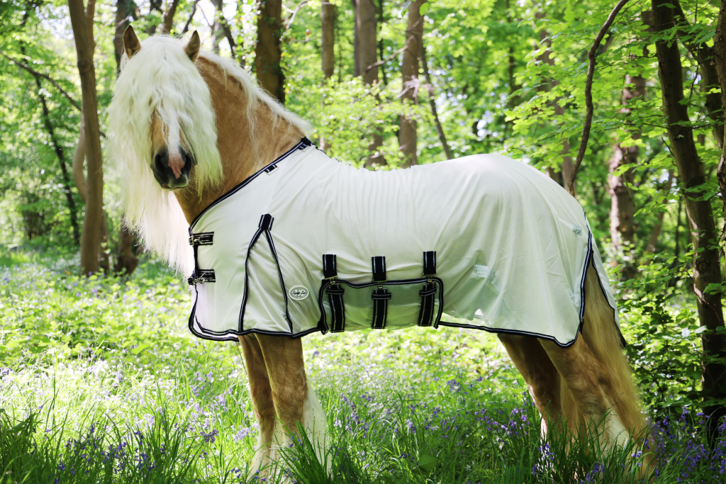 Sahara Detachable Neck Fly Rug 2025