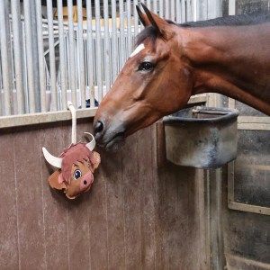 Haggis the Highland Cow Horse Toy
