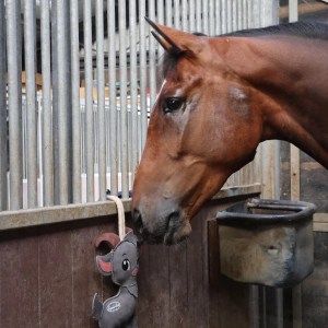 Gavin the Goat Horse Toy