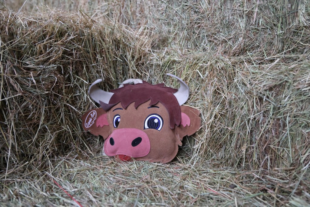 Haggis the Highland Cow Horse Toy