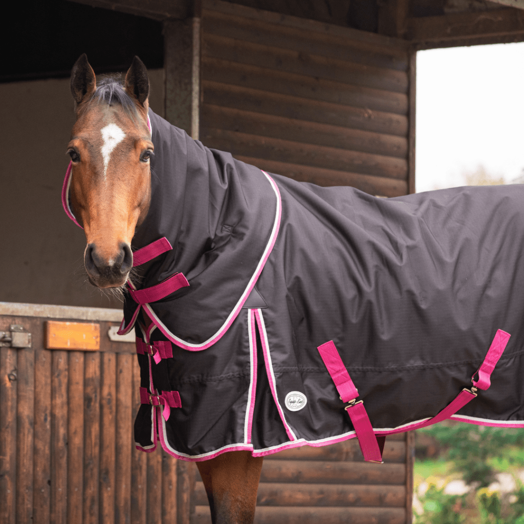 horse rugs
Horse wearing black and pink Espoir 200g medium weight turnout rug with detachable neck