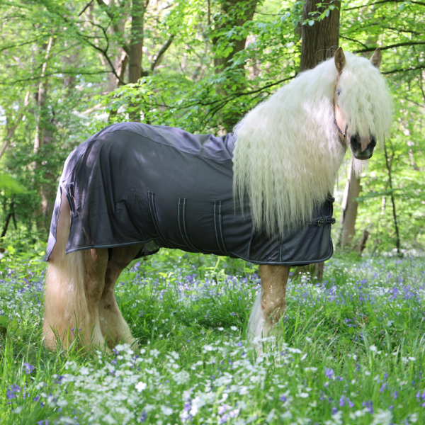 Artemis Detachable Neck Waterproof Fly Rug