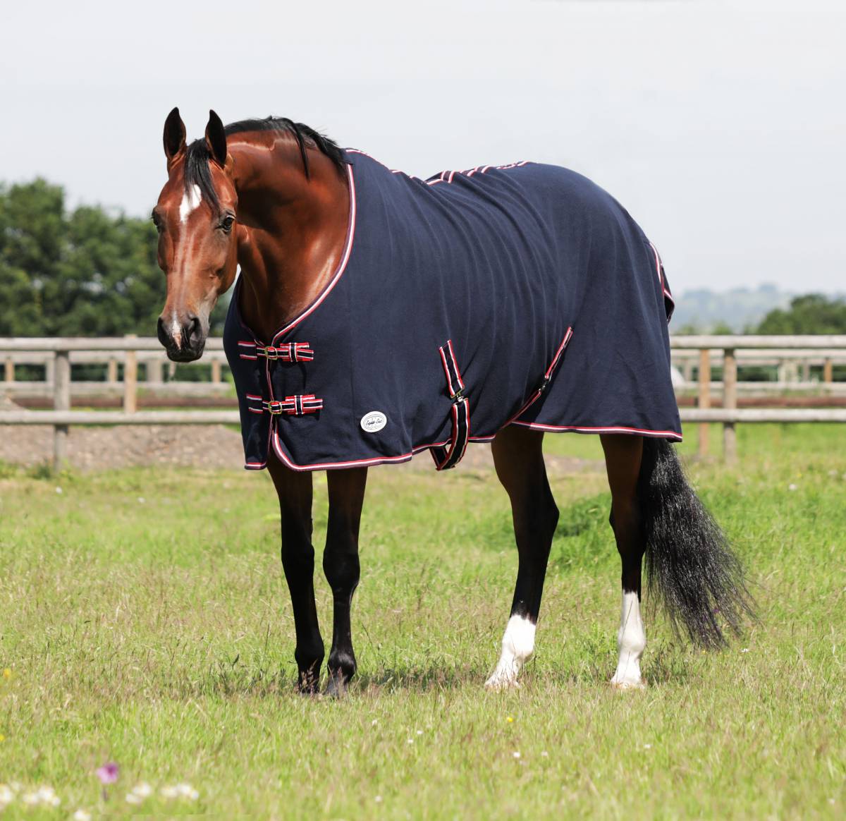 olive fleece rug