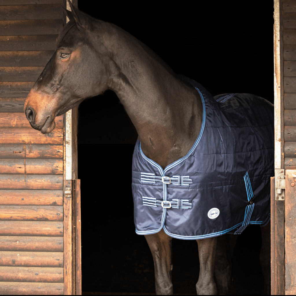 horse rugs
100g stable rug Zambezi standard neck