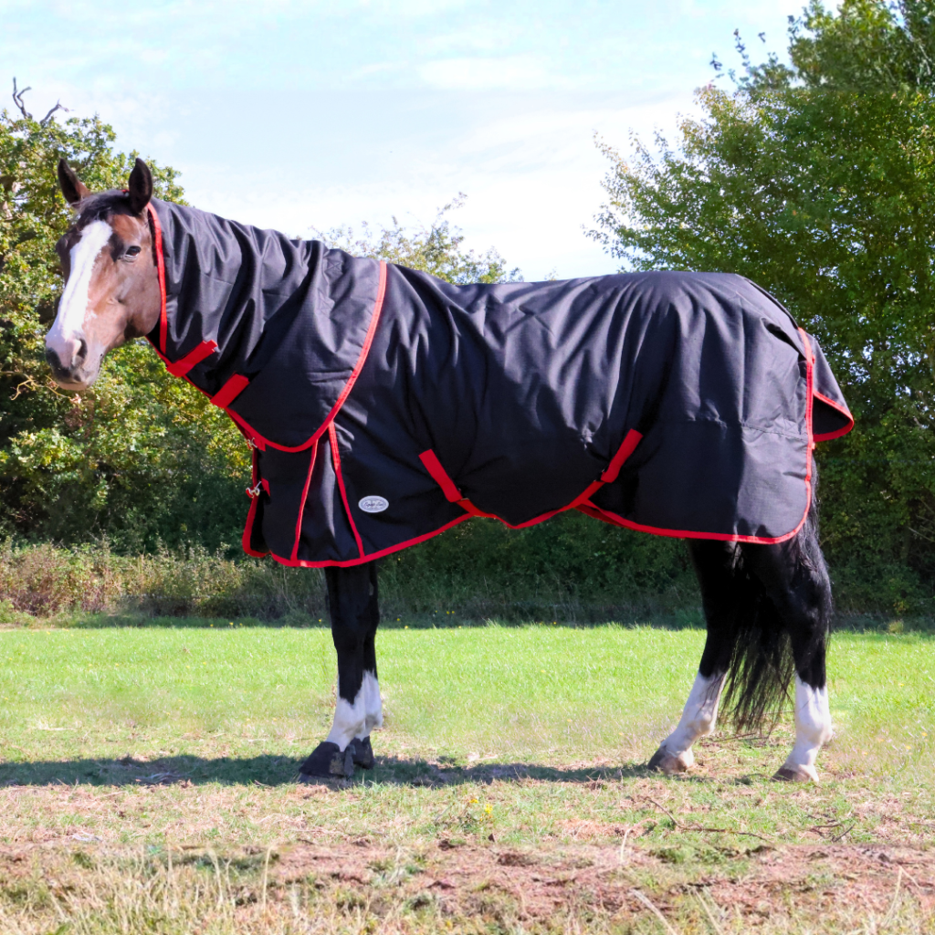 Amazon 100g Detachable Neck Turnout Rug