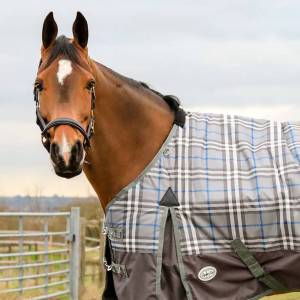 Double Vision 350g Turnout Rug - Image 2