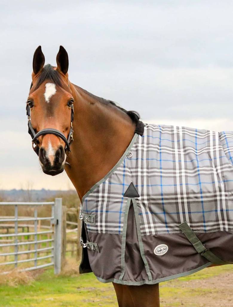 Double Vision 350g Turnout Rug