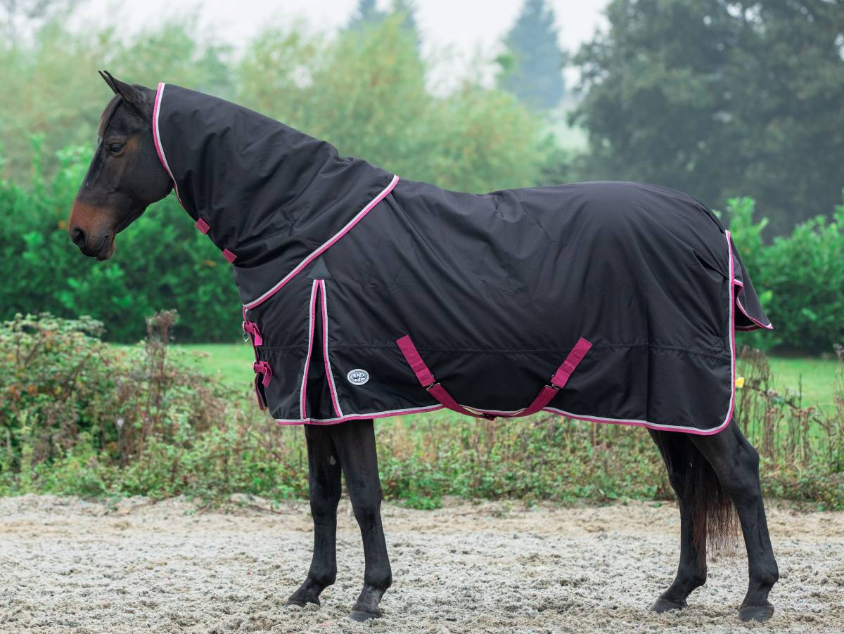 Espoir 200g Detachable Neck Turnout Rug - Image 3