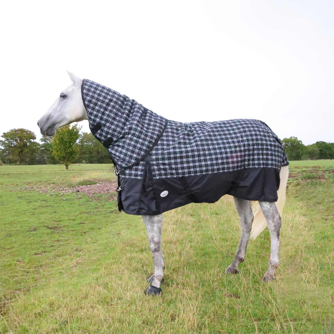 Trewyn 350g Detachable Neck Turnout Rug - Image 1