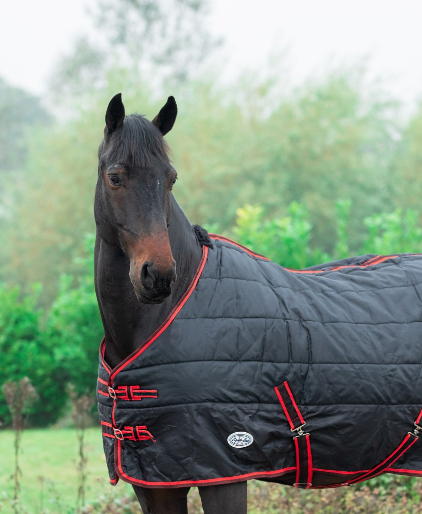 Bandit 200g Stable rug