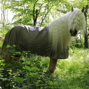 Willow Detachable Neck Waterproof Fly Rug - Image 4