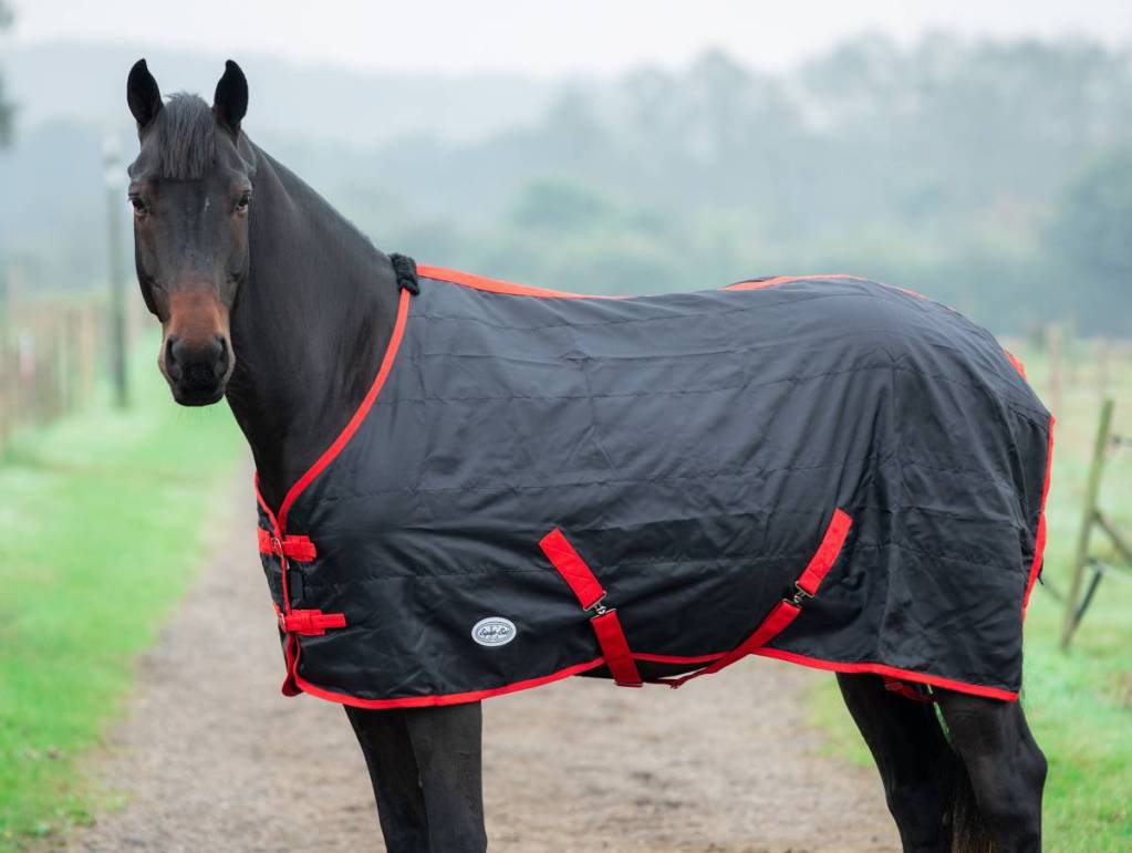 stable sheet for horses lightweight breathable clover rug UK Breathable horse stable sheet clover lightweight rug horse stable sheet UK clover rug front closure detail lightweight horse rug breathable stable sheet side view Clover stable sheet for horses in stable clean coat protection horse travel sheet lightweight breathable clover rug stab;e sheet for horses with surcingles and fillet string breathable summer stable sheet for horses lightweight design