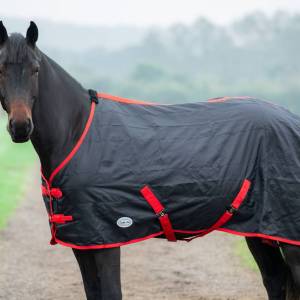 stable sheet for horses lightweight breathable clover rug UK Breathable horse stable sheet clover lightweight rug horse stable sheet UK clover rug front closure detail lightweight horse rug breathable stable sheet side view Clover stable sheet for horses in stable clean coat protection horse travel sheet lightweight breathable clover rug stab;e sheet for horses with surcingles and fillet string breathable summer stable sheet for horses lightweight design