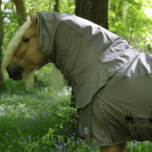 Willow Detachable Neck Waterproof Fly Rug