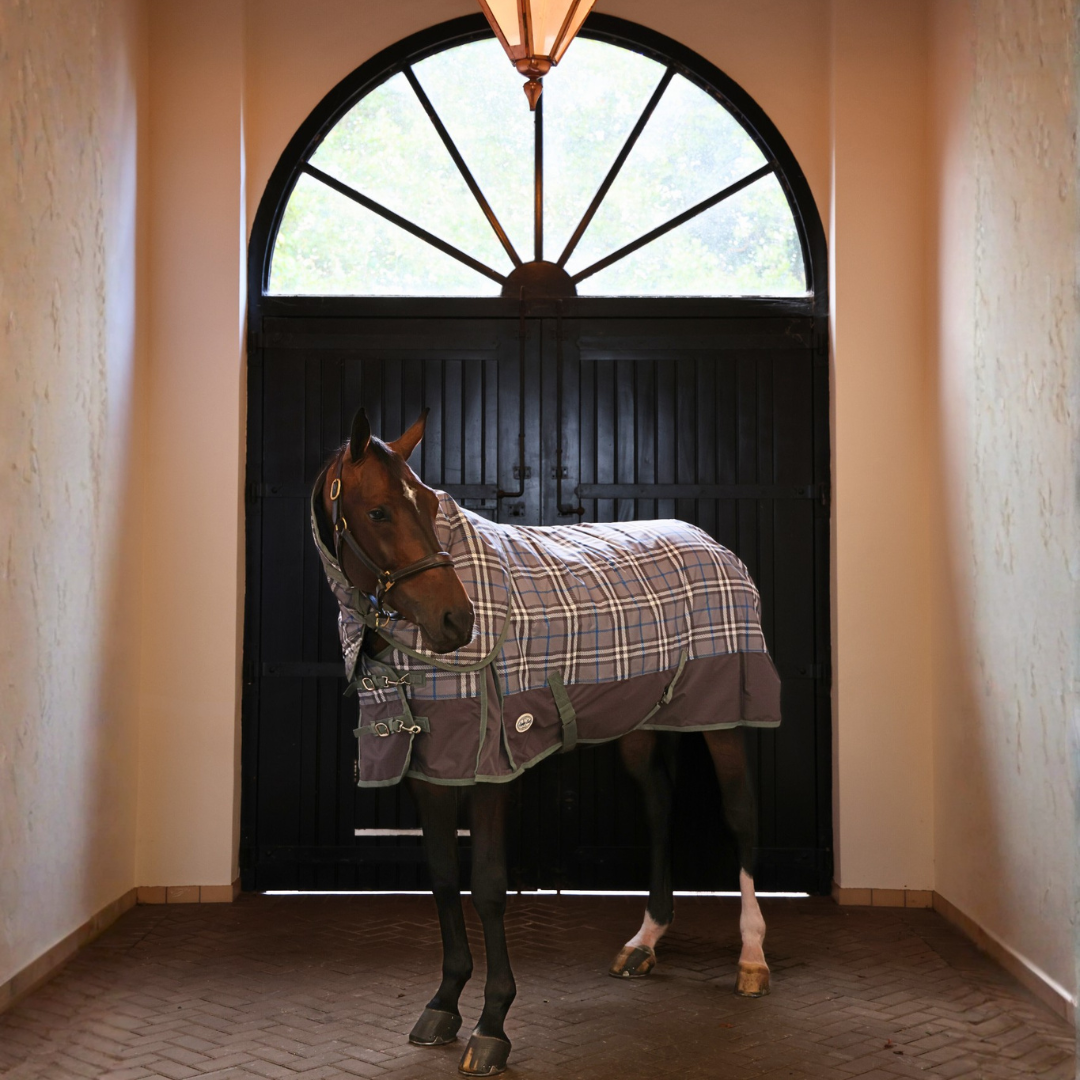 Double Vision 350g Detachable Neck Turnout Rug - Image 1