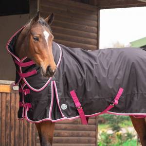 Espoir 200g Detachable Neck Turnout Rug - Image 1