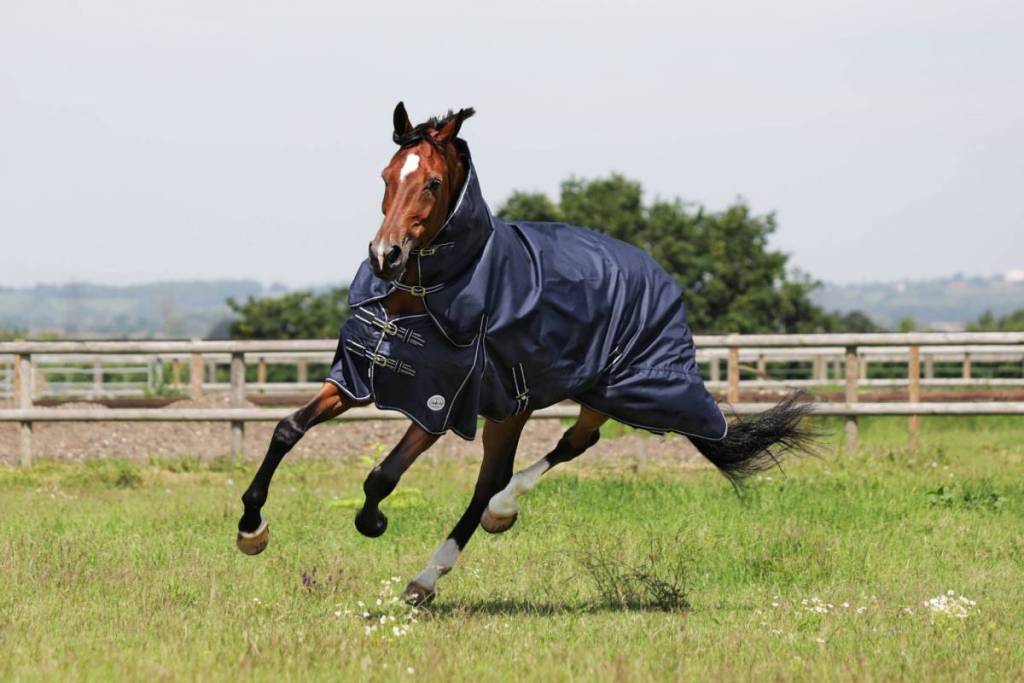 Oakley Lightweight Turnout Rug