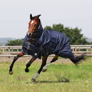 Oakley Lightweight Turnout Rug - Image 2