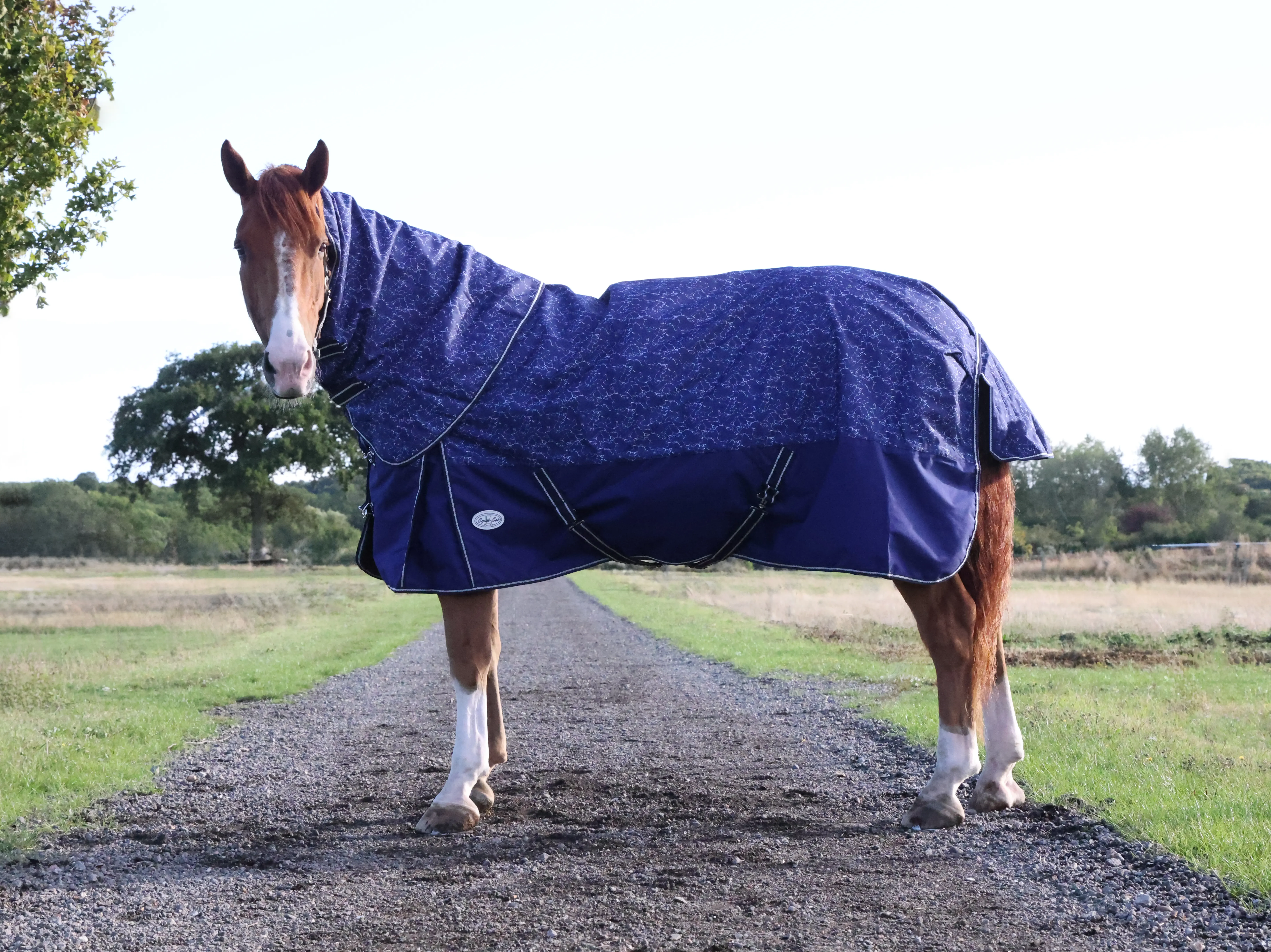 lightweight 0g detachable neck turnout rug for horses waterproof turnout rug for horses 600d ripstop 0g turnout rug for spring and autumn detachable neck horse turnout rug lightweight