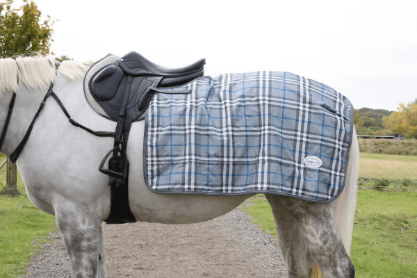 Night Vision Quarter Sheet