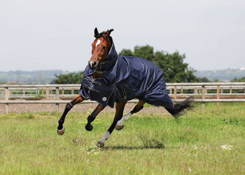 Oakley Lightweight Turnout Rug