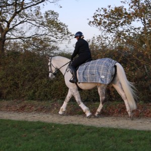 Night Vision Quarter Sheet - Image 3