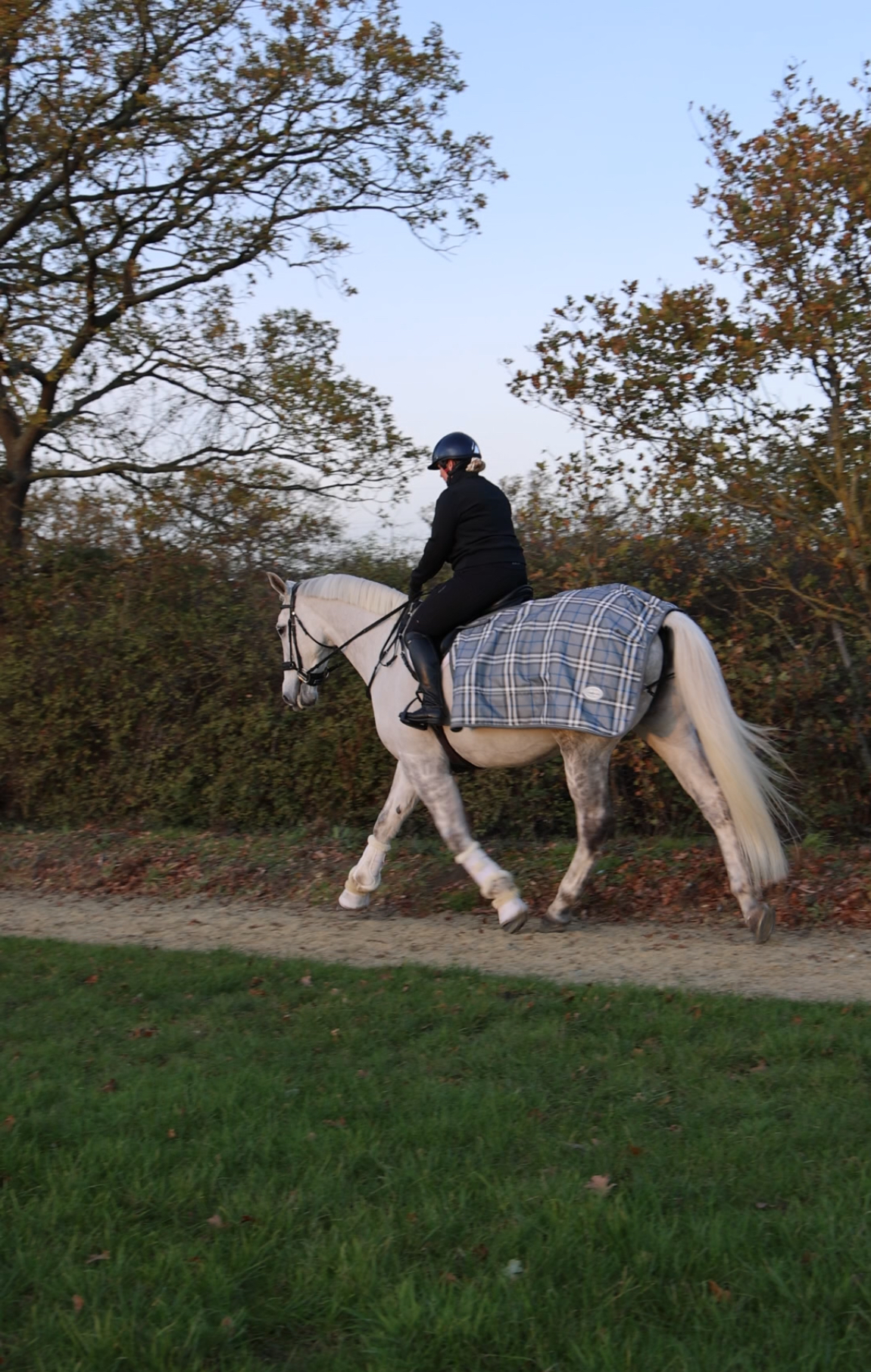 Night Vision Quarter Sheet - Image 3