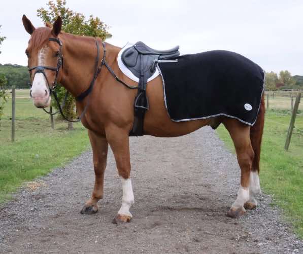 Orca fleece quarter sheet exercise rug fleece horse exercise rug winter riding horse quarter sheet for hacking and schooling warm fleece quarter sheet for horses