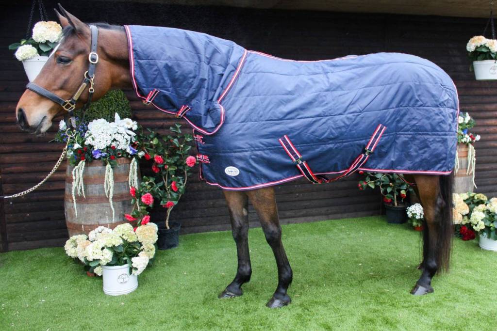 Scarlett 100g Stable Rug