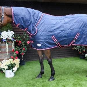 Scarlett 100g Stable Rug - Image 4