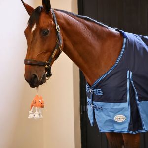 Coco the Chameleon Horse Toy - Image 2