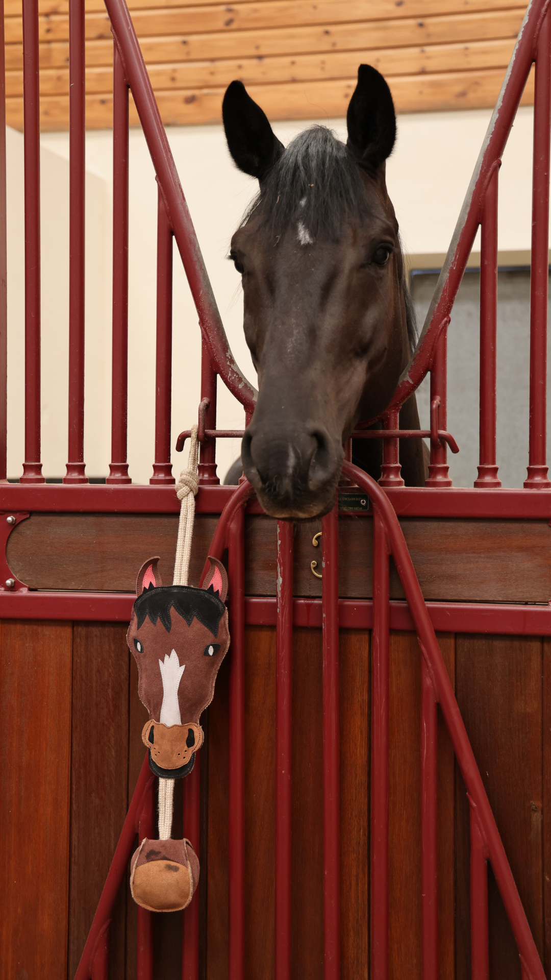 Horse Holding a Football Toy
