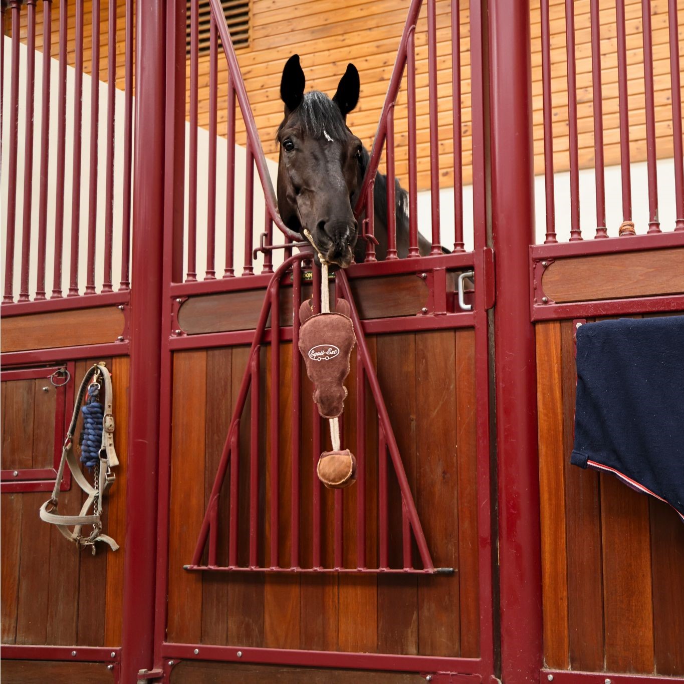 Horse Holding a Football Horse Toy - Image 2