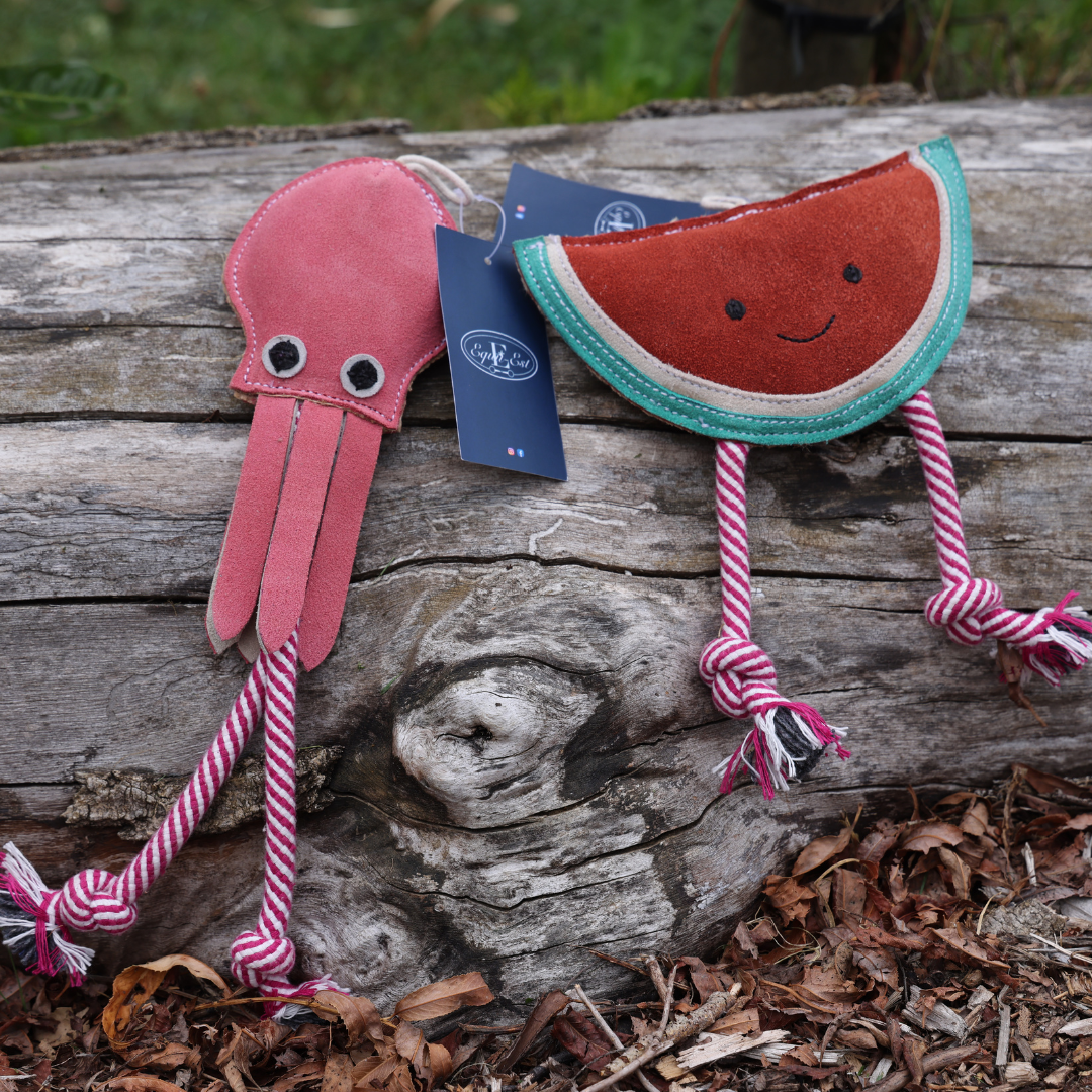 Sid the squid rope dog toy durable tug toy rope dog toy tug of war chew toy durable dog toy rope tentacles interactive play dog playing with rope tug toy squid design
