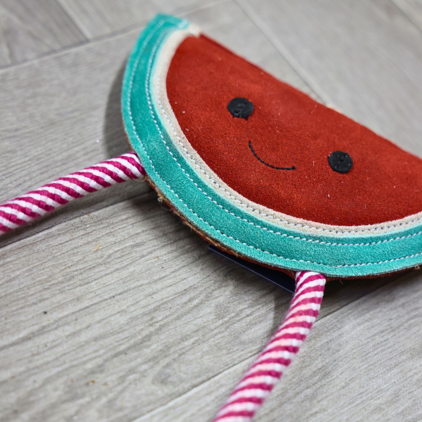 Wally the Watermelon Dog Toy - Image 3