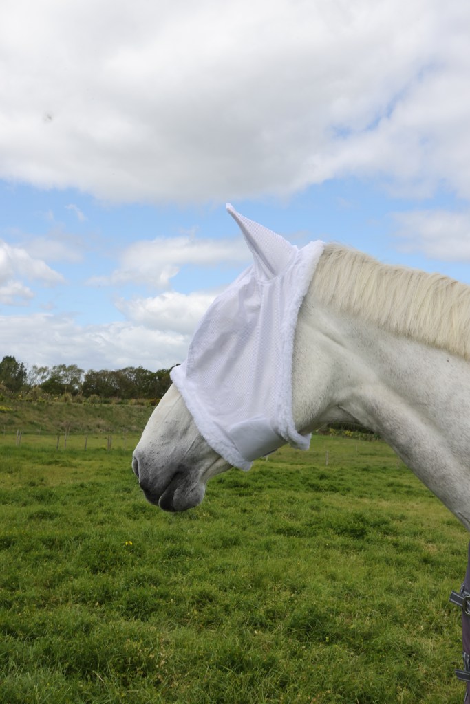 Fly Mask