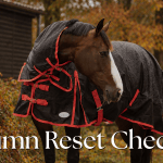 The Horse Owner’s September Checklist: Getting Ready for Autumn