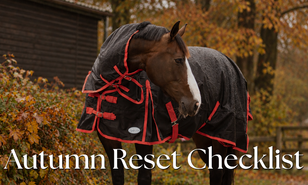 The Horse Owner’s September Checklist: Getting Ready for Autumn