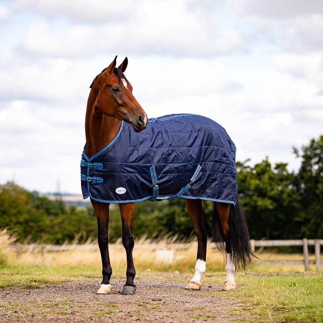 A brown horse wearing a navy blue rug stands in a grassy field with a cloudy sky in the background.